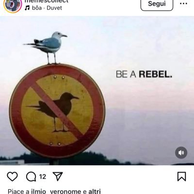 Se volevo fare l’opinionista serio sarei in TV, in realtà mangio würstel freddi dal frigo.