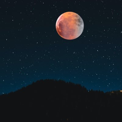 عبدالله مرزوق. ما رزقك الله إياه، لن يستطيع أحد أن يحول بينك وبينه. ❤️ 🇸🇦🇵🇸