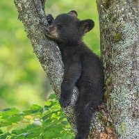Pinpin Park (Sleep Expert) (@_callmecurious_) 's Twitter Profile