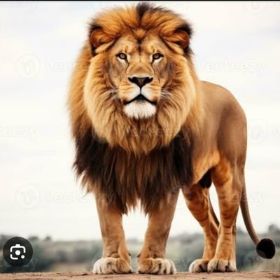 trumpet_truth's profile picture. Christ died my death