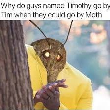 timtytheMOTH's profile picture. 