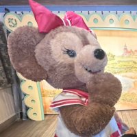 𝒜(⸝⸝•ᴗ•✿)ෆ (@aa_channs) 's Twitter Profile