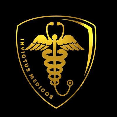 Invictus__medic's profile picture. Obafemi Awolowo University Medical students 
Class of '29❤️