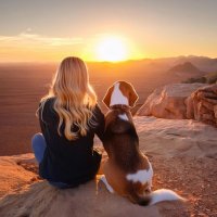 Dessa Cordell (@dessacordell) 's Twitter Profile Photo Dessa Cordell (@dessacordell) 's Twitter Profile Photo