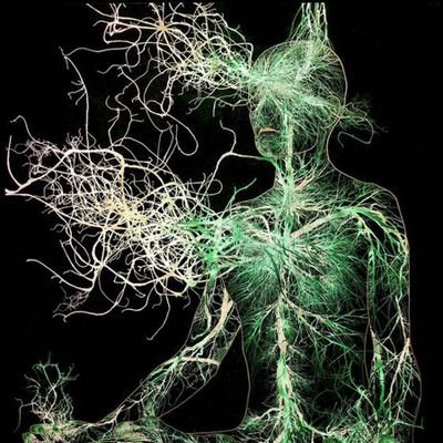 TruthOraculum's profile picture. 