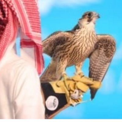 wafe1393's profile picture. 
