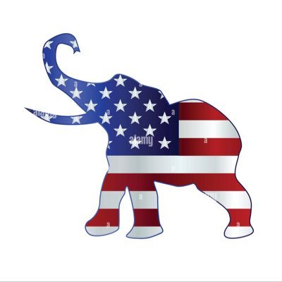 redelephant2025's profile picture. 