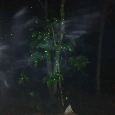 PrincesS34555's profile picture. 