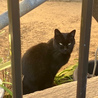 Nontransferable's profile picture. 