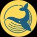 Whale Guru (@laura73409044) Twitter profile photo Whale Guru (@laura73409044) Twitter profile photo