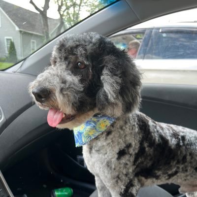 JoshuaMaha57182's profile picture. 