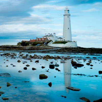 TF1_70's profile picture. 