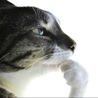 Zpanks (@zpanks548) 's Twitter Profile Photo Zpanks (@zpanks548) 's Twitter Profile Photo