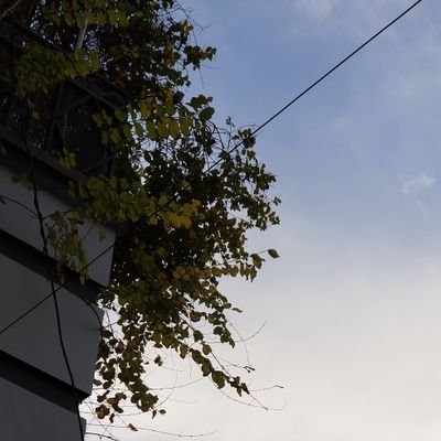 usm6869's profile picture. اگر تم حالات سے خوفزدہ نہیں ہوتو زندہ ہو ورنہ مردہ۔