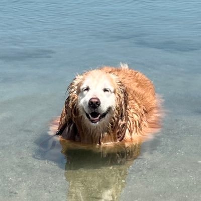 ジグさんのプロフィール画像