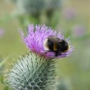 Geraldine Nolan - @gnolan125 - Twitter