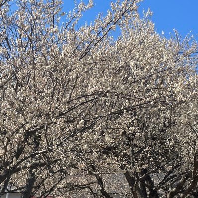 HKMMzL8UuQUwcS4's profile picture. 投資アカです。 よろしくお願いします。 日本株、投資信託、FX、米国株をしてます。