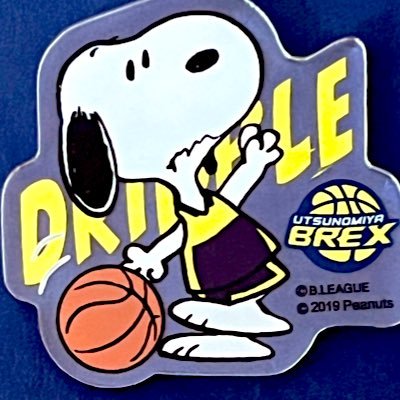 宇都宮ブレックス全力応援📣😆なかでも#0#6#13🏀ブレックスファンの方々と交流できたらと嬉しいです😊 バレー🏐や高校野球⚾️も観戦✨無言フォロー失礼致します🙇♀️