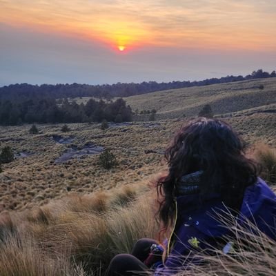 Diseñadora. Libros, arte, música y Sci-Fi, 🎮🕹 Zelda love. Tengo buena/mala suerte. Demasiado trascendent(existenci)alista para funcionar. Siempre estoy high.
