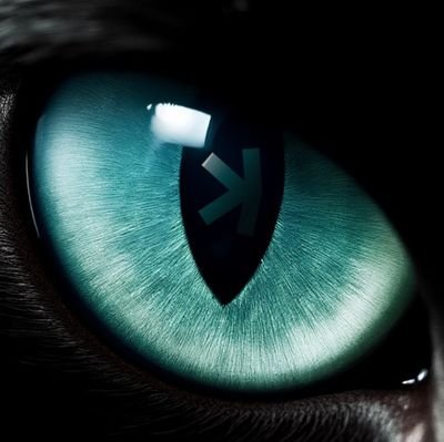 KaspaKreek's profile picture. KASPA MAXI
➫BIG HODLER➬
$NACHO x $KONAN 2025