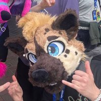Lex (@lexyeena) 's Twitter Profile Photo Lex (@lexyeena) 's Twitter Profile Photo