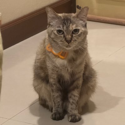 Kckaew's profile picture. 