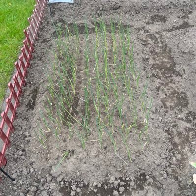 sakukazujustfre's profile picture. 作業療法士 病院から転職。老健勤務。色々模索中！