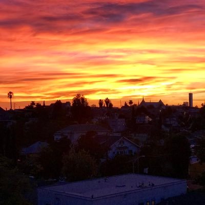 W1ll_161008's profile picture. 