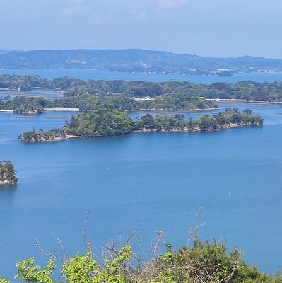 M9306705670829's profile picture. 5人の子供の成長が楽しみ

自分の正しさで
人を否定をしてる時
未熟な自分を感じる
 #信教の自由
 
保守とベイスターズ応援してますꉂꉂ📣
DMはやってませんm(_ _)m