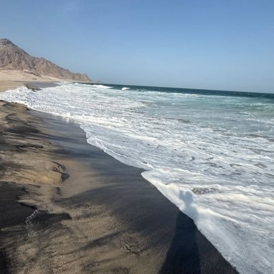 SalimSaid549507's profile picture. 