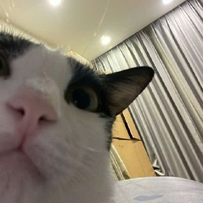 Bwedsmek's profile picture. With love for threejs, webgpu 🇻🇳