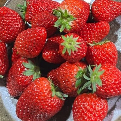 ao____food's profile picture. ごはんで生き返る社会人1年目