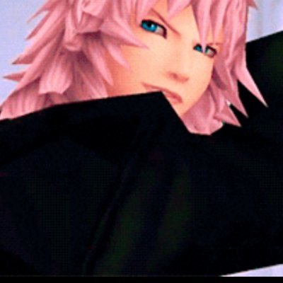 Rank XI of Organization XIII. Such beauty and elegance that can't be outmatched by such insolence.
(( writer is a minor , DNI if NSFW ))
main: @koisandz