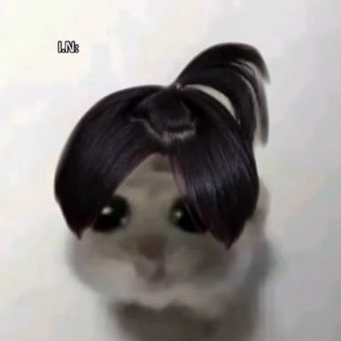 Tik ๐ฆ Profile