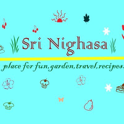 Sri Nighasa a common account to youtube , X, Facebook and instagram
