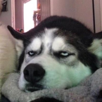 Kytsu5's profile picture. - em busca de algo
ɴᴏ ᴇɴᴇᴍɪᴇꜱ