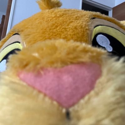 north_xx3's profile picture. 道産子ALPHAZです🐺 マーティン寄りの箱推し🇺🇸