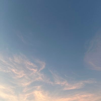 มัยหมีภัมさんのプロフィール画像