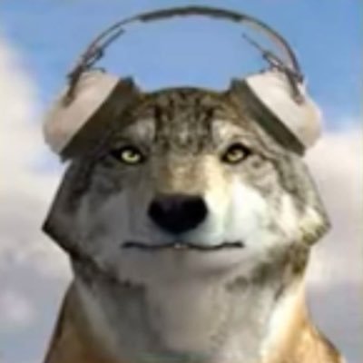 ptv #1 fanboy | i like wolves.... and viktor. | in too many fandoms to count |🇵🇸