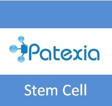 Get your stem cell news and updates from http://t.co/1tIM23cEYm.