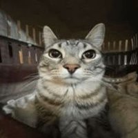 Axel_⛄ (@axel_tehe) 's Twitter Profile Photo