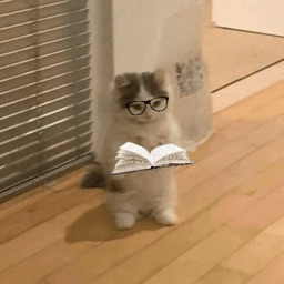 Ze_Acee's profile picture. @0G_labs