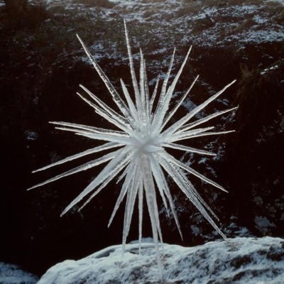 old_mangmong's profile picture. 힛입니다. 血界戦線 KLST/ZPST