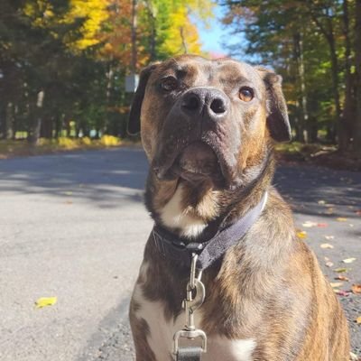 MicheleLam5014's profile picture. Someone hijacked my original page. I'm real. Just not overly interested in trying to start over.