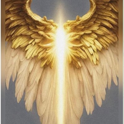 LighteousSpark's profile picture. 9 🐒