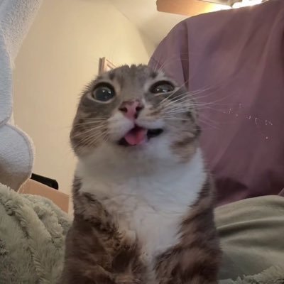 fatbowls4fun's profile picture. 