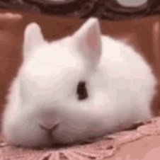 Lonelyさんのプロフィール画像