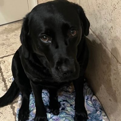 audrimichellee's profile picture. 