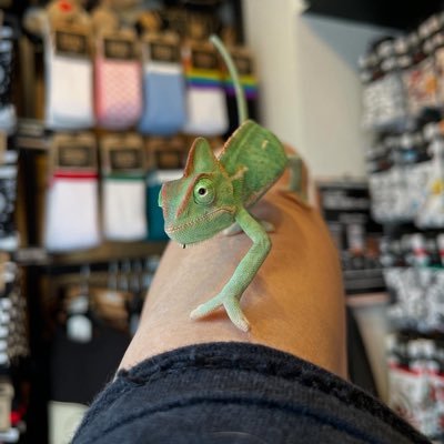 Yuki_T_ASKoenji's profile picture. American Socks高円寺店(日本一号店)店長/MARVEL/映画/筋トレ/動物/爬虫類