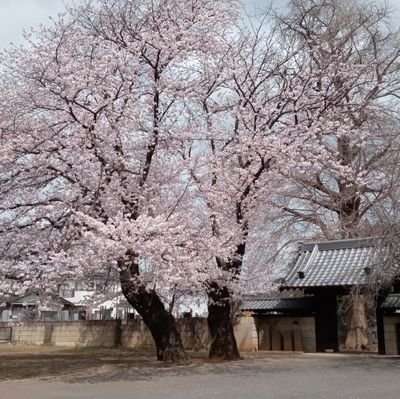 kaoru50070's profile picture. 自然が好き/歴史好き/韓ドラが好き/世界平和/信教の自由/スパイ防止法/感謝の生活